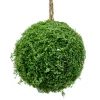 BALL MOSS 5″ MOSS GREEN