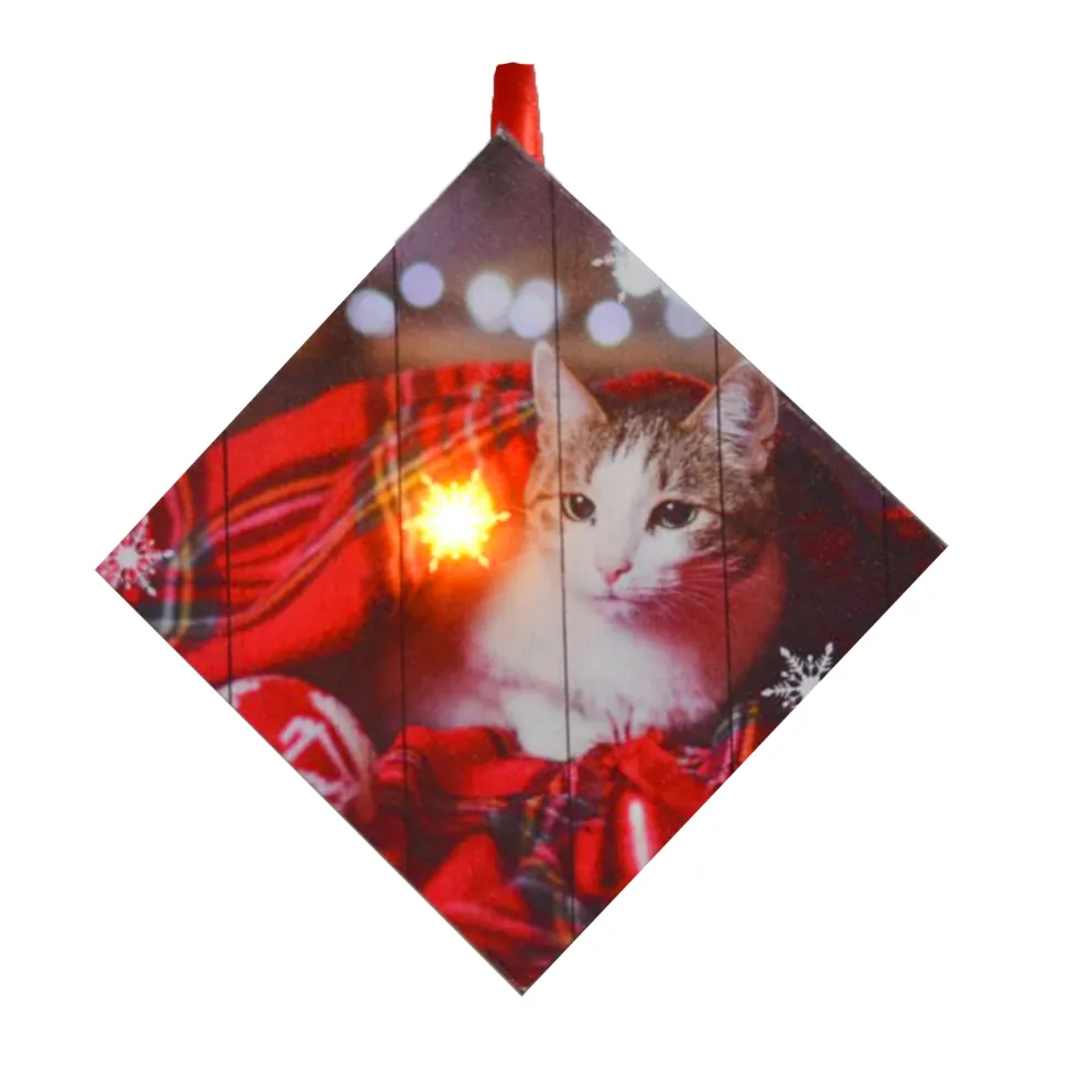 CANVAS 5″X5″ 1 LED W/ CAT IN A BLANKET