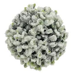 HANGING BALL BOXWOOD 5.5″ FROSTED