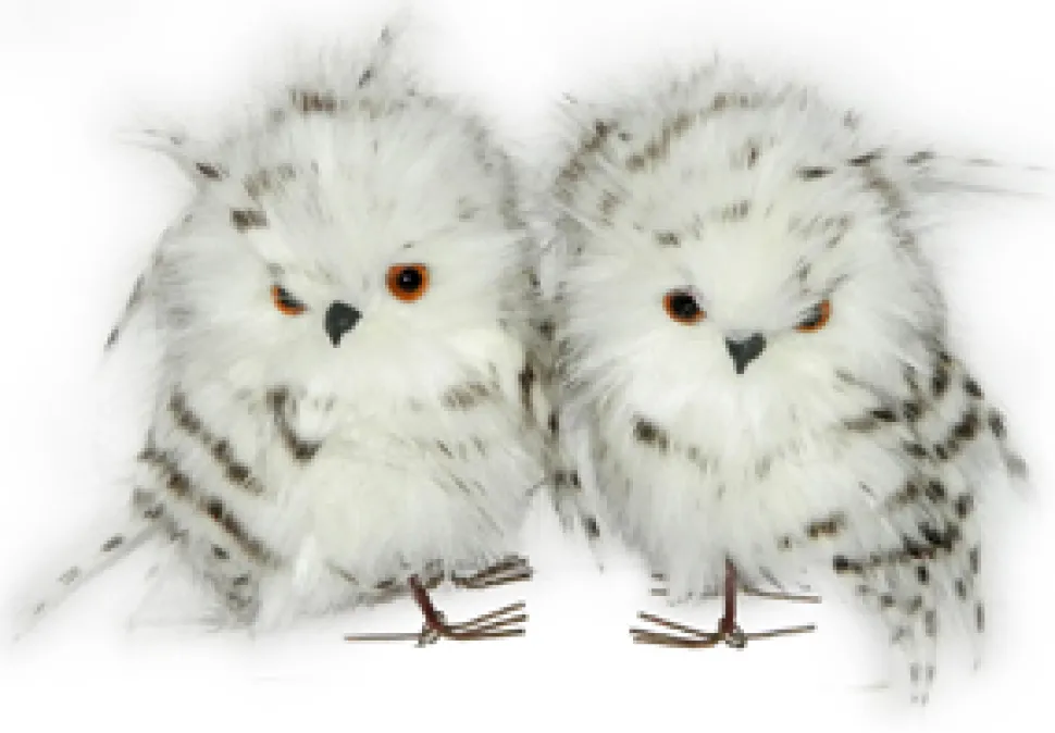 OWL GRAY/WHITE 5″ LONG HAIR TWINS STANDING