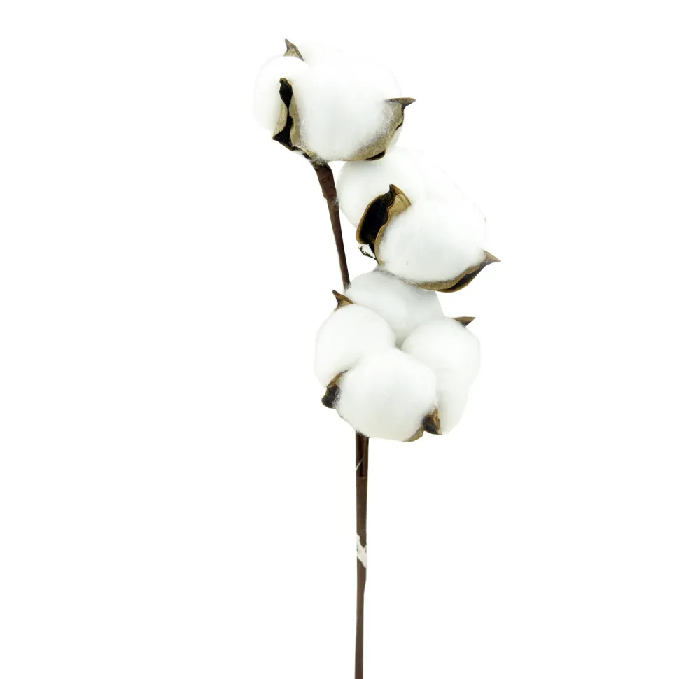 PICK COTTON POD 13.5″ 3 HEAD WHITE