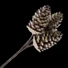 PICK PINE CONE 12″ NATURAL 3 CONES