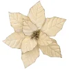 POINSETTIA HEAD CHAMPAGNE 9.5″ VELVET W/ CLIP