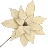 POINSETTIA STEM CHAMPAGNE 18″ HEAD VELVET W/ 24″ STEM