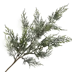 SPRAY CEDAR FROSTED 22″