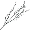 SPRAY CORAL 28.5″ BLACK GLITTER