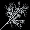 SPRAY CORAL ICE 24″ WHITE/ICE GLITTER