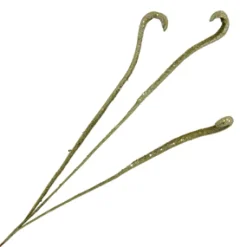 SPRAY CURL BRANCH 26″ X 3 CHAMPAGNE GLITTER