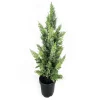 TREE NAT. CEDAR 38″ W/ BLACK POT