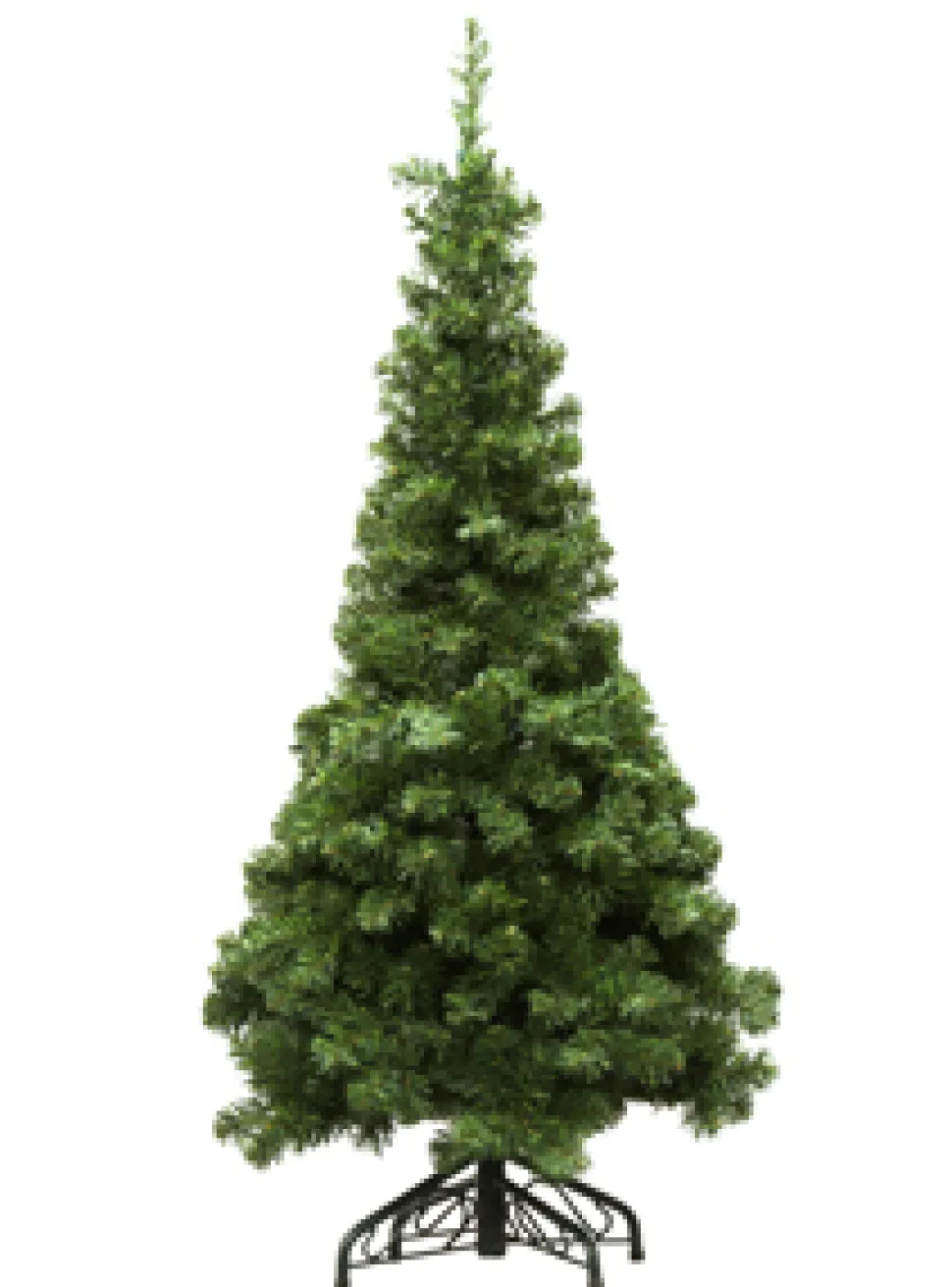 TREE NOBLE PENCIL PINE 4’/480T