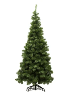TREE NOBLE PENCIL PINE 5’/650T