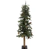 TREE VIENNA ALPINE 5′ 505T W/ PINE CONES